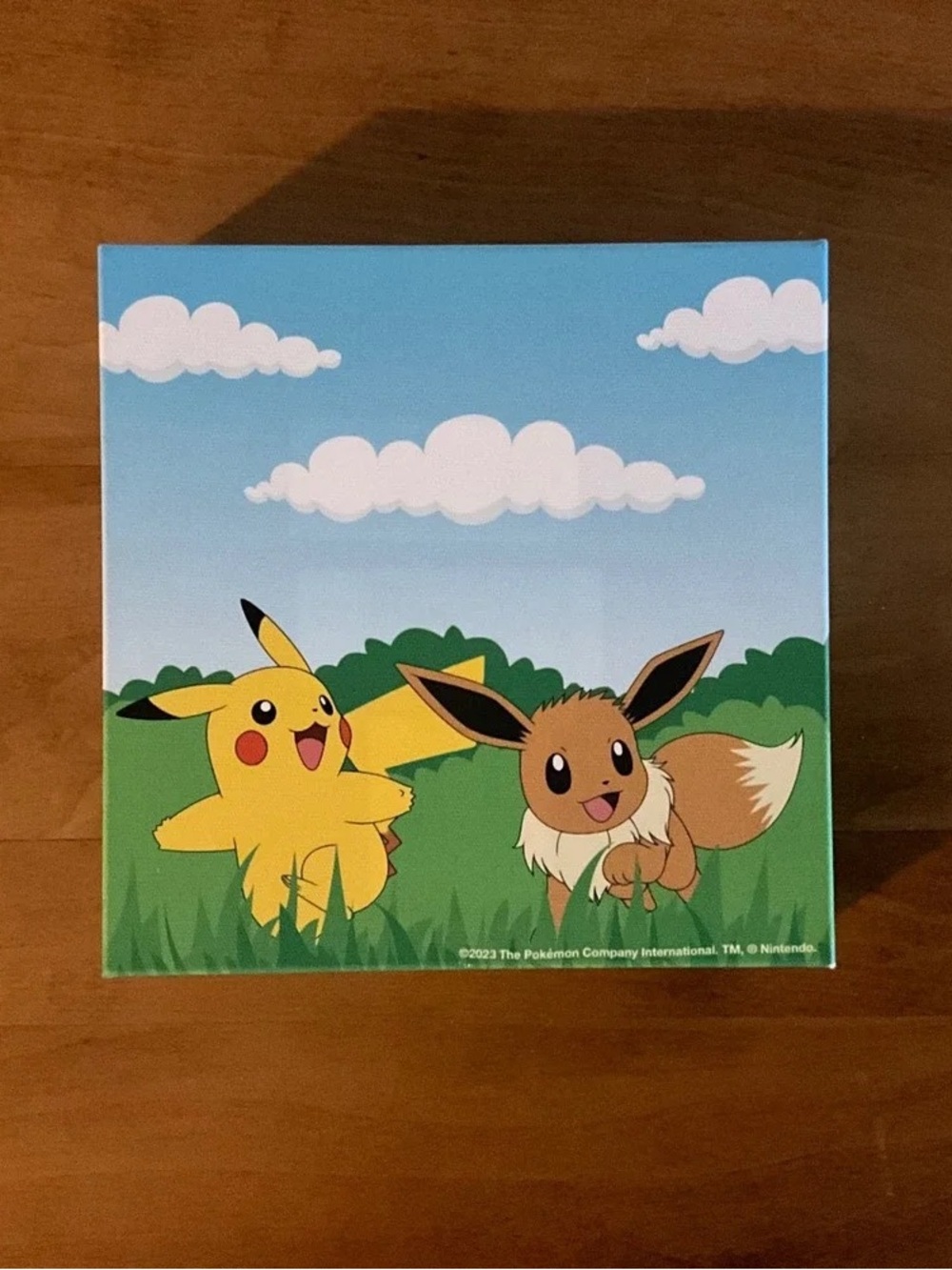 Pikachu & Eevee Small Pets Play Box - Blue
